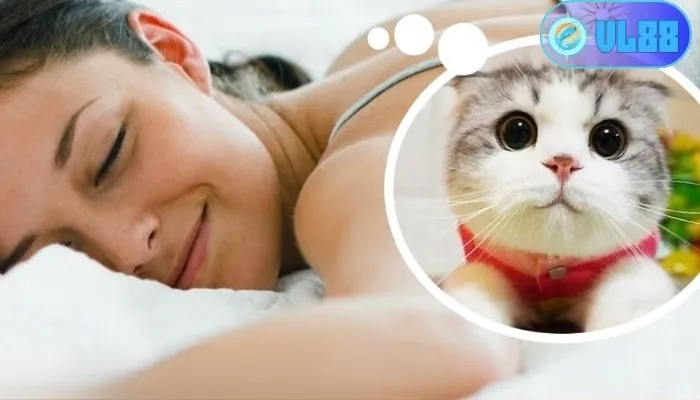 Giải mã giấc mơ thấy mèo