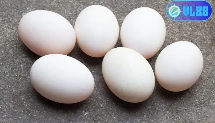 Giải mã giấc mơ thấy trứng vịt