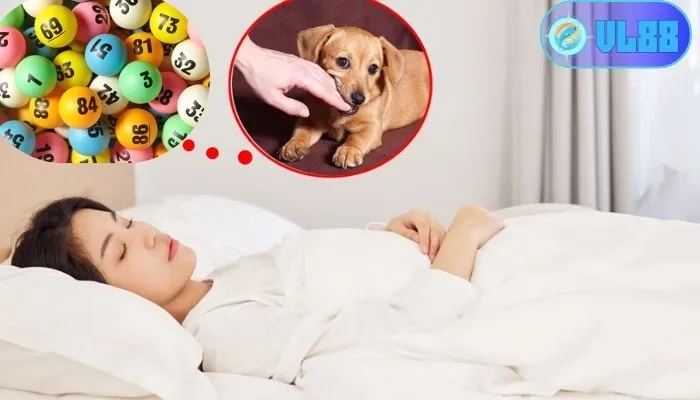 Mơ thấy chó đánh đề bao nhiêu?