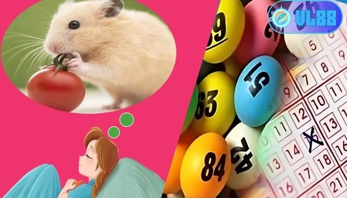 Mơ thấy chuột đánh đề bao nhiêu?