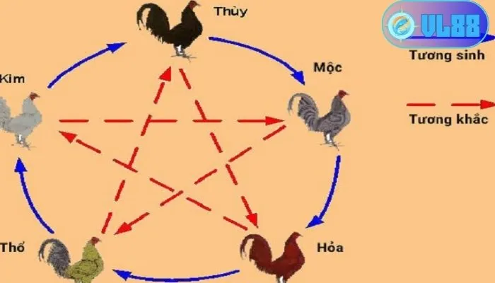 Xem ngày tốt đá gà theo ngũ hành