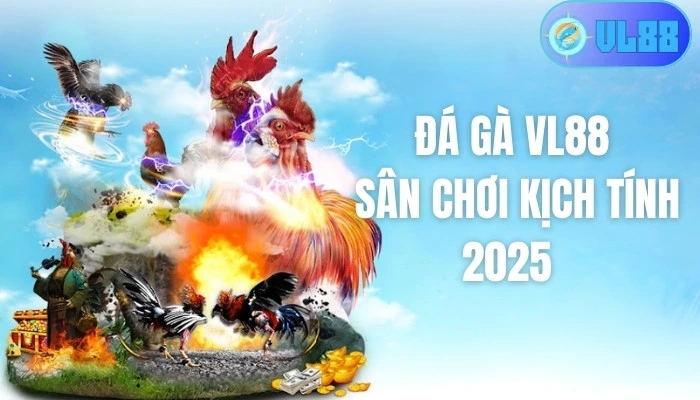 Đá gà VL88 là gì?